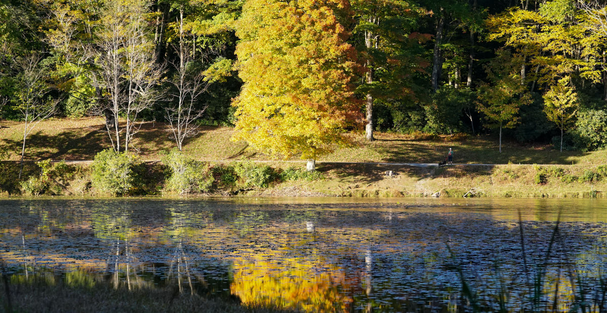 Fall Colors 9